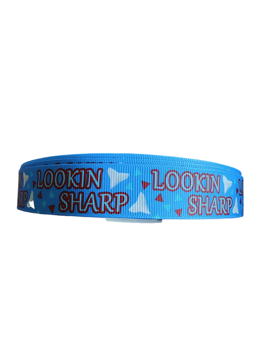 Lookin Sharp Nylon Dog Collar