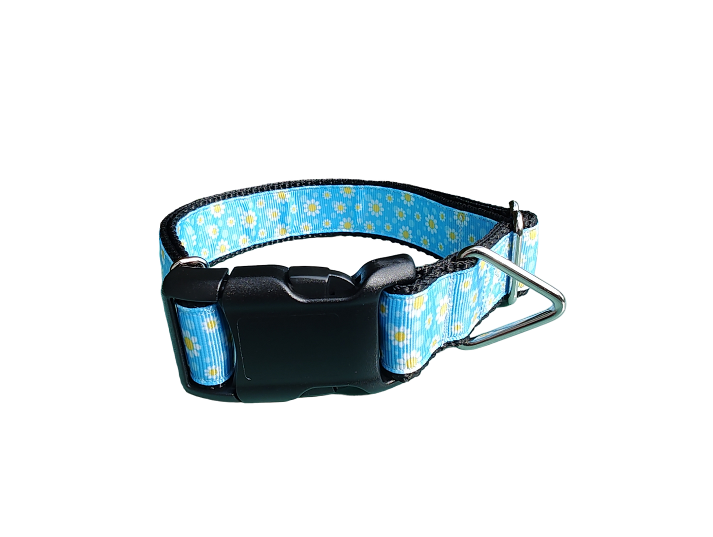 Daisies Nylon Dog Collar