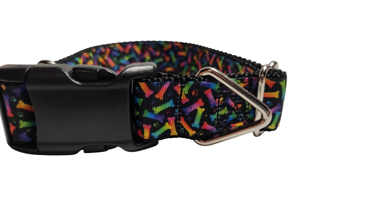 Neon Bones Nylon Dog Collar MD, LG, XL, Leash