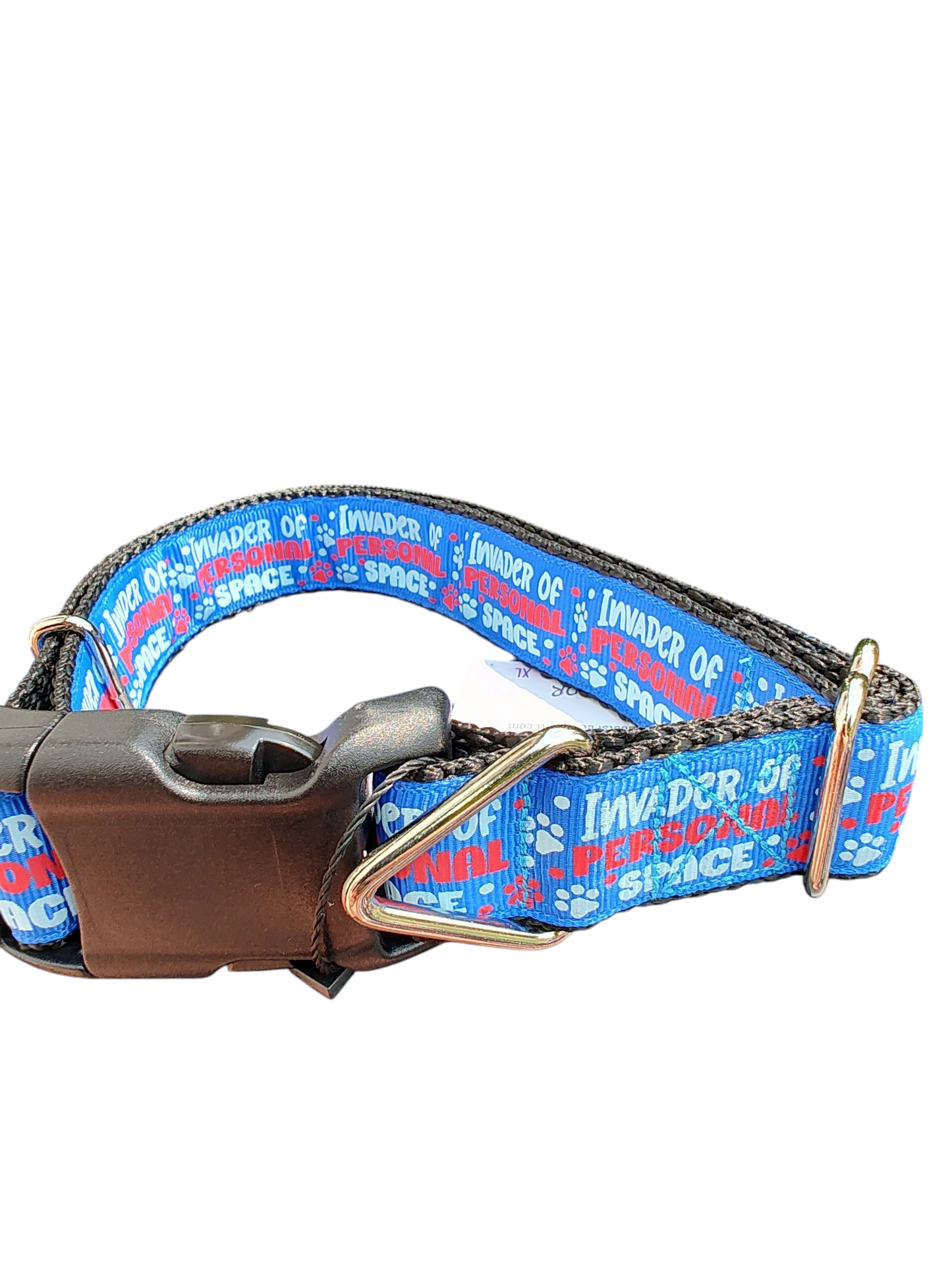 Invader of Personal Space Blue Nylon Dog Collar