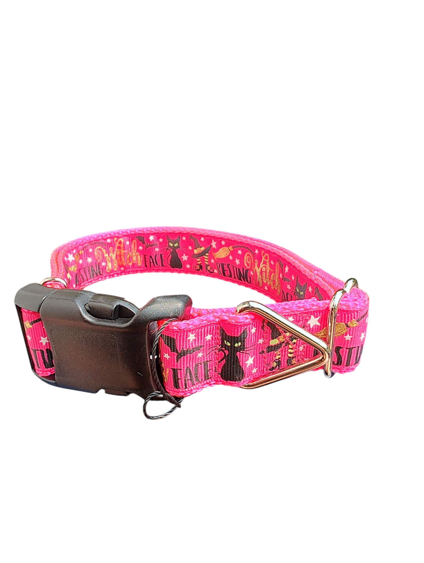 Resting Witch Face Nylon Dog Collar