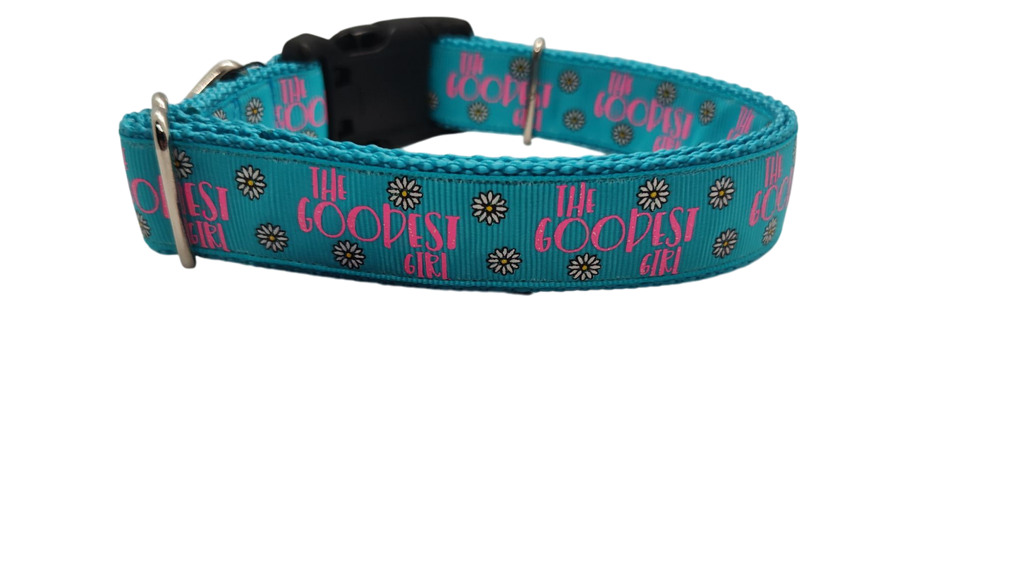 The Goodest Girl Nylon Dog Collar