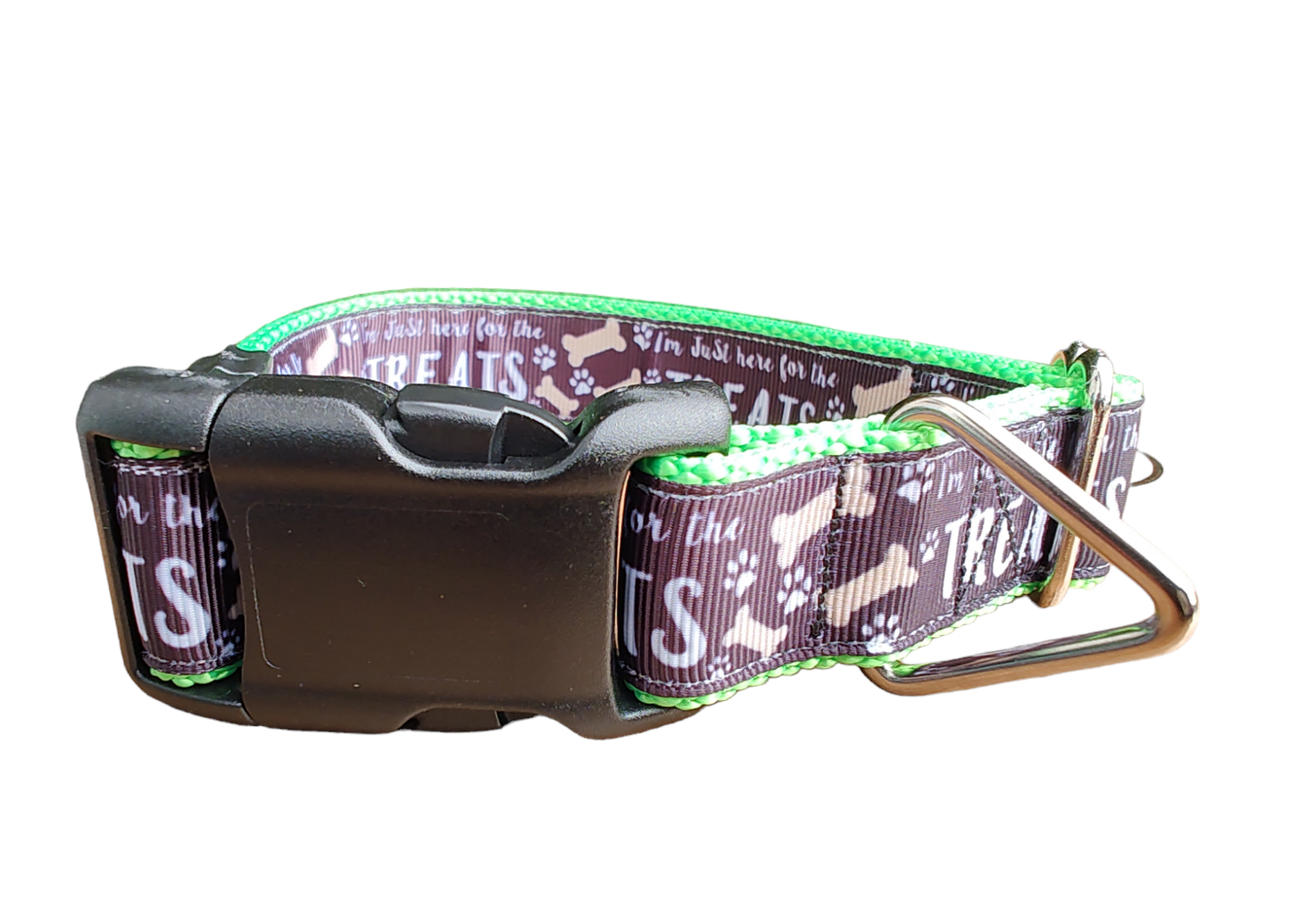 Here For The Treats Neon Green Nylon Dog Collar MD, LG, XL, Leash