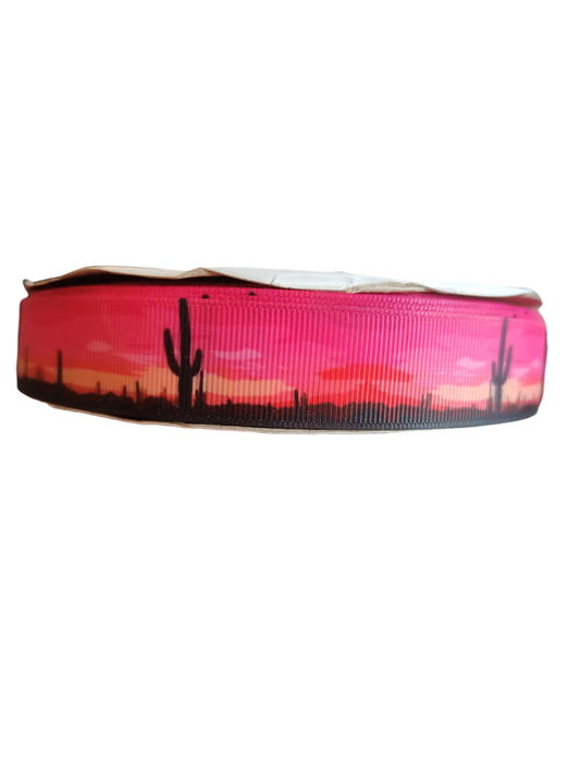 Sunset Cactus Nylon Dog Collar