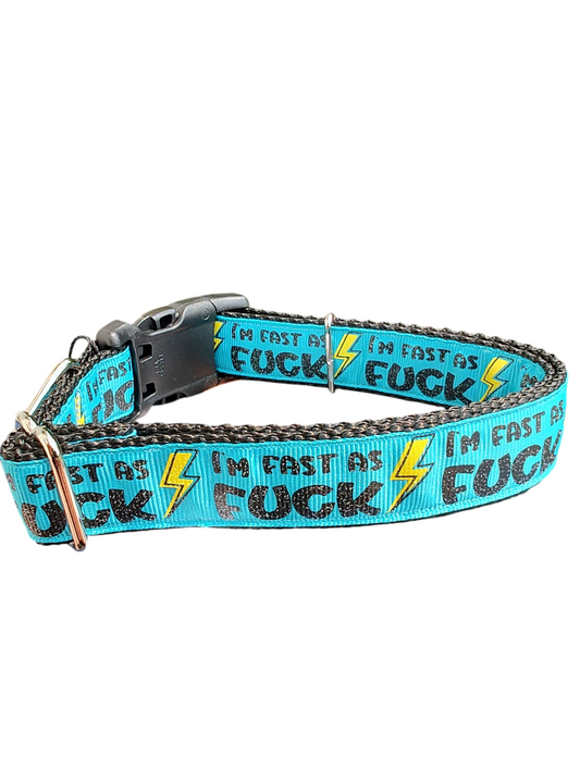 Fast As Fuck Nylon Dog Collar