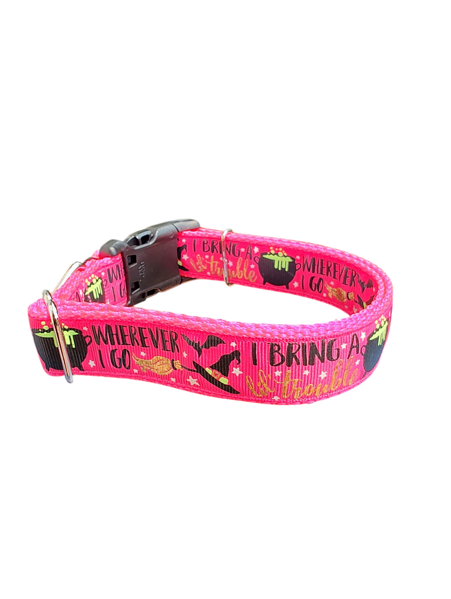 I Bring Trouble Nylon Dog Collar