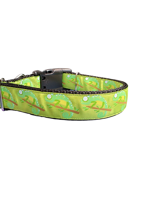 Chameleon Nylon Dog Collar
