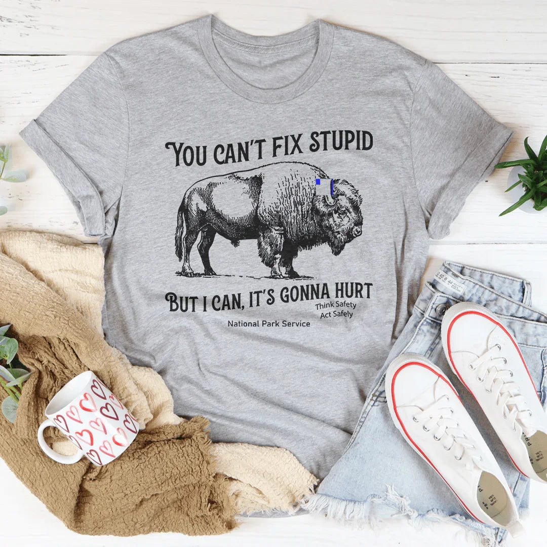 You Can't Fix Stupid But I Can Tee