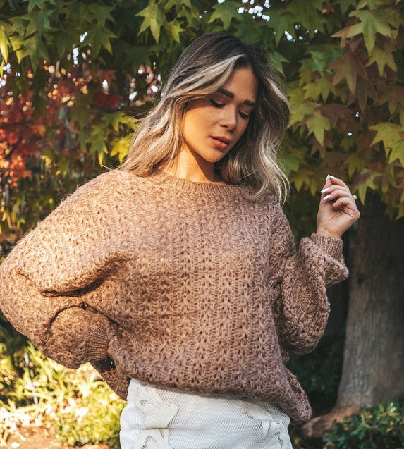 Camel Knit Pullover Sweater